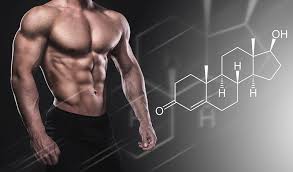 Giữ Cân Bằng Testosterone