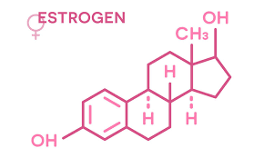 Estrogen